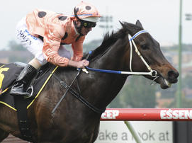 blackcaviar